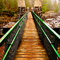 Jay Cooke Swinging Bridge In Fog